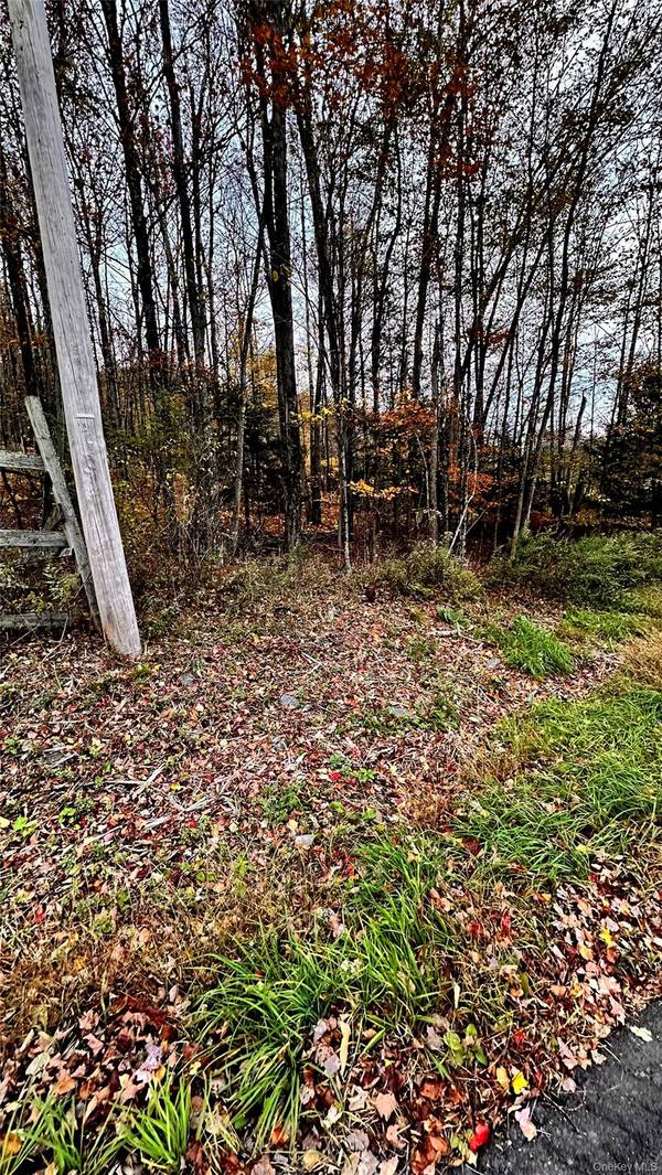 TBD Hysana RD, Fallsburg, NY 12733