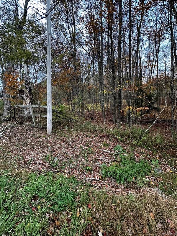 TBD Hysana RD, Fallsburg, NY 12733