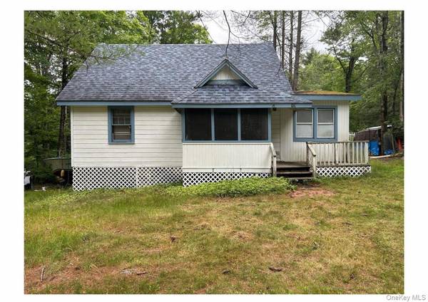 13 Eldridge ST, Bethel, NY 12720