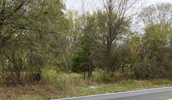 3346 Route 207, Goshen, NY 10924