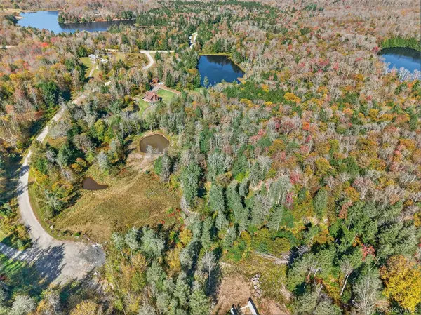 TBD Black Bear XING, Parksville, NY 12768