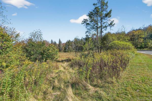 TBD Black Bear XING, Parksville, NY 12768