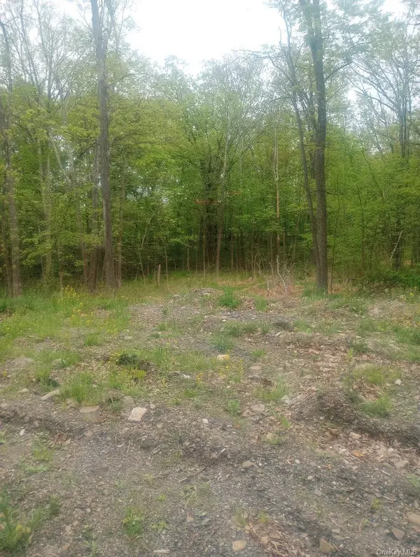 Myers RD. Westtown, NY 10 Myers RD, Westtown, NY 10998