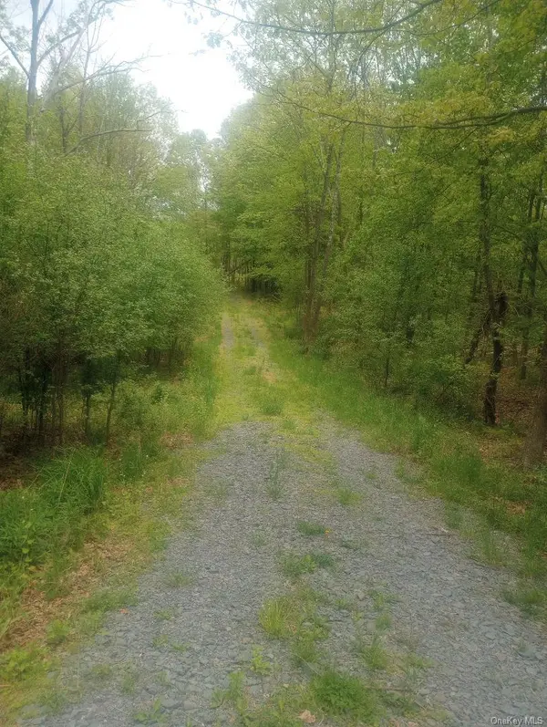 Myers RD. Westtown, NY 10 Myers RD, Westtown, NY 10998