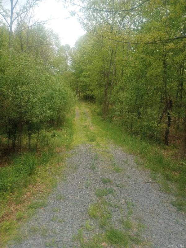 Myers RD. Westtown, NY 10 Myers RD, Westtown, NY 10998