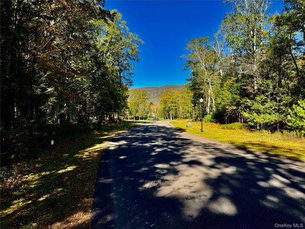 44-86 Falling Waters DR, Palenville, NY 12463