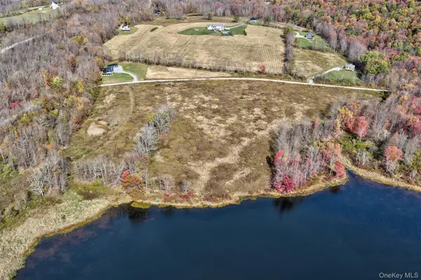 TBD Meadow LN, Fremont, NY 12736