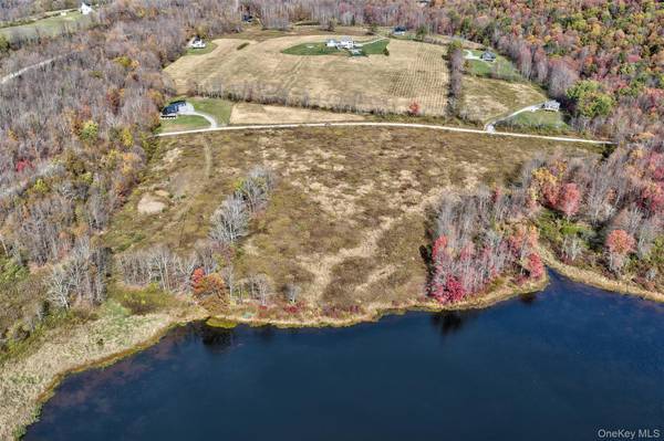 TBD Meadow LN, Fremont, NY 12736