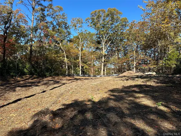 910 Flanders RD, Flanders, NY 11901