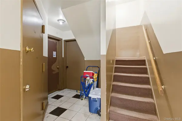 4600 Bronx BLVD, Bronx, NY 10470