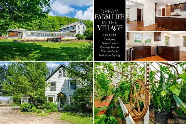 265 Main ST, Delhi, NY 13753