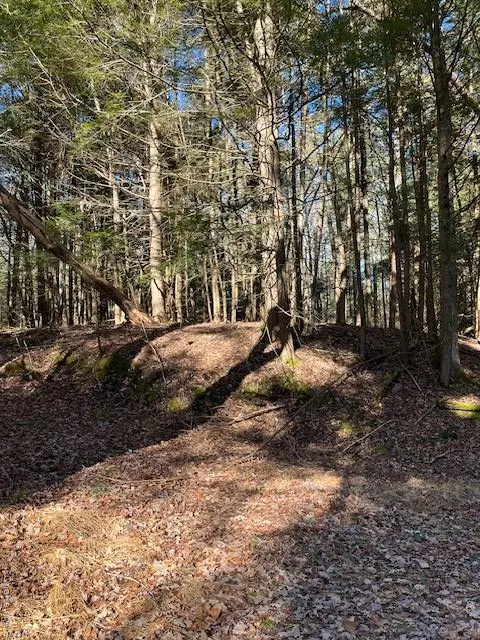 198 W Starlight DR, Smallwood, NY 12778