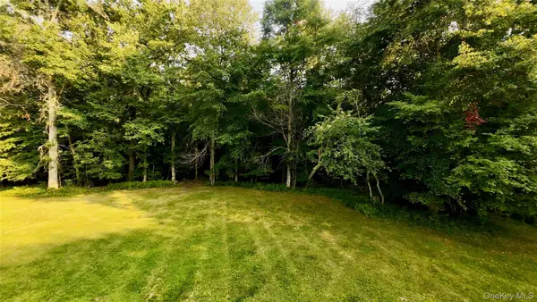 109 White Birch LN, Montgomery, NY 12549