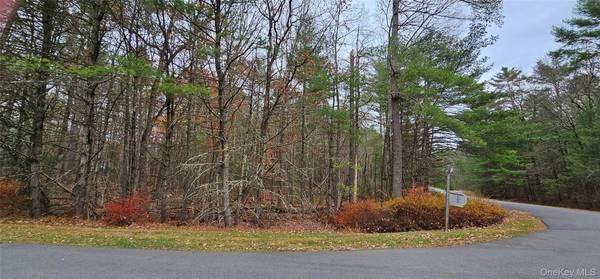 Lot 28 Summit DR, Yulan, NY 12792
