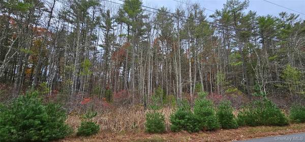 Lot 28 Summit DR, Yulan, NY 12792