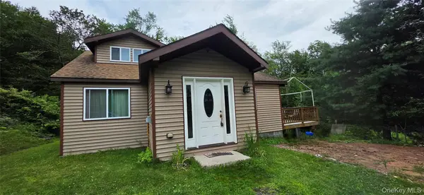 371 Kelly Bridge RD #373, Swan Lake, NY 12783