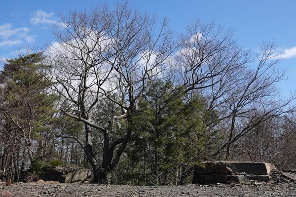 Tbd Manorville Road, Saugerties, NY 12477