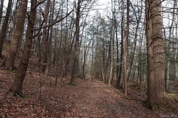 738 Manorville RD, Saugerties, NY 12477