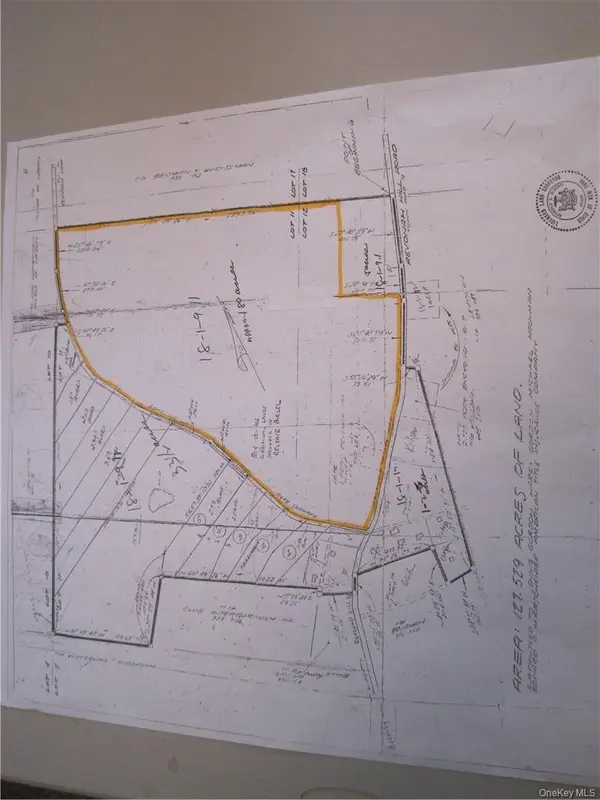 Revonah Hill RD, Liberty, NY 12754