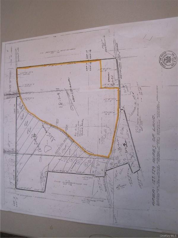 Revonah Hill RD, Liberty, NY 12754
