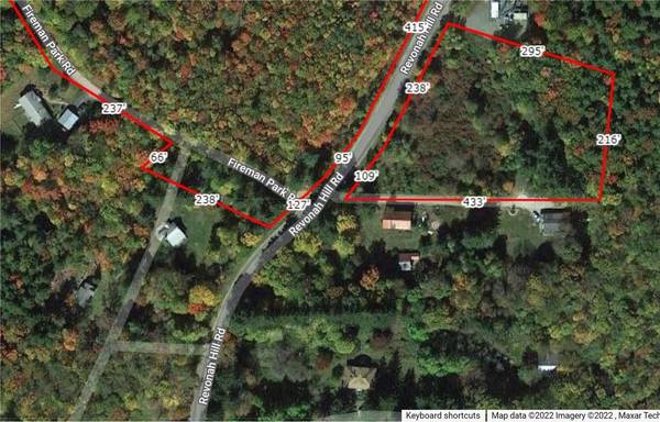Revonah Hill RD, Liberty, NY 12754
