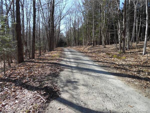 183 Revonah Hill RD, Liberty, NY 12754