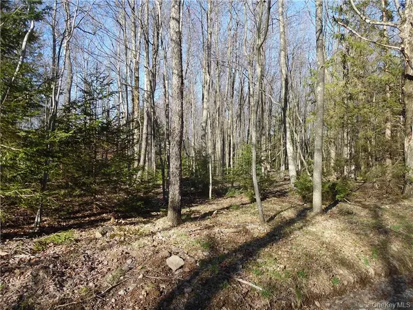 183 Revonah Hill RD, Liberty, NY 12754