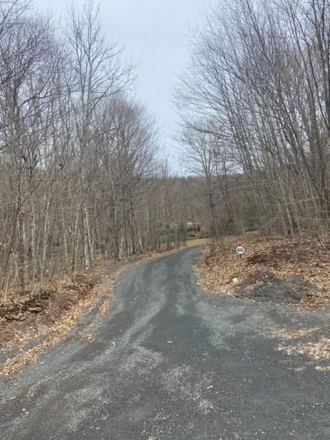 219 Bailey RD, Jewett, NY 12444