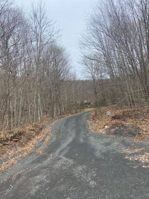 219 Bailey RD, Jewett, NY 12444
