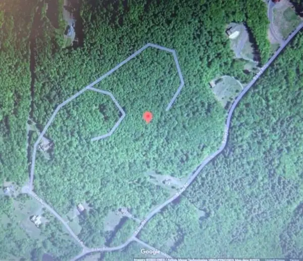 219 Bailey RD, Jewett, NY 12444