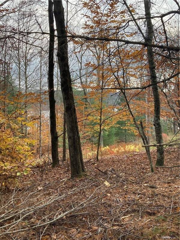 140 Plank RD, Mongaup Valley, NY 12762