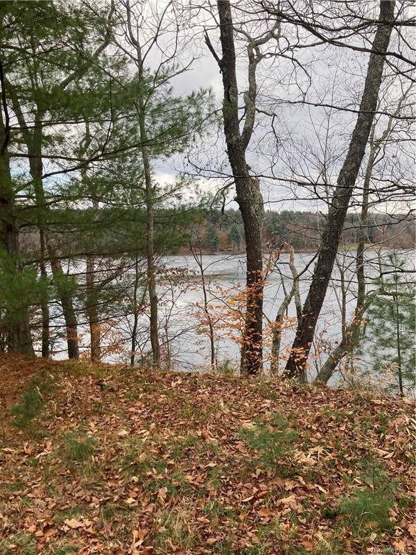 140 Plank RD, Mongaup Valley, NY 12762