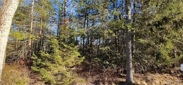 Lot 57.1 Yulan-Barryville RD, Barryville, NY 12719