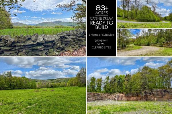 0 Rt-28, Andes, NY 13731