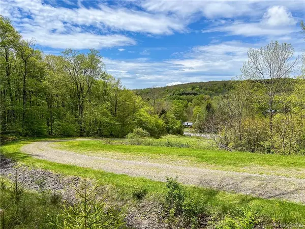 0 Rt-28, Andes, NY 13731
