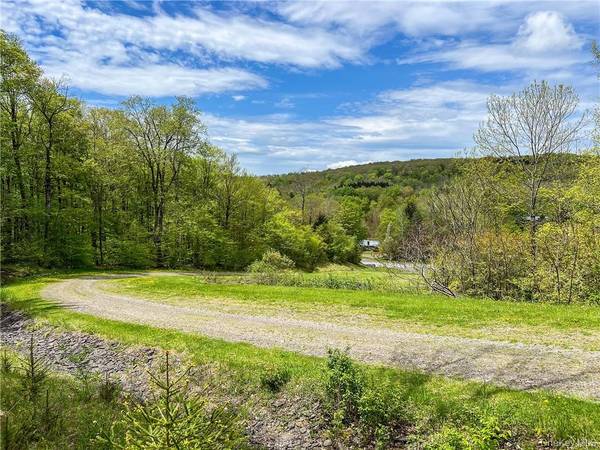 0 Rt-28, Andes, NY 13731