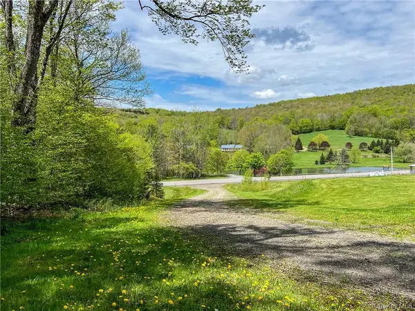 0 Rt-28, Andes, NY 13731