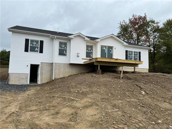 TBD Goodridge RD, Westtown, NY 10998