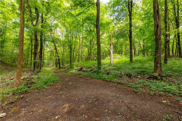 Arthursburg RD, Lagrangeville, NY 12540