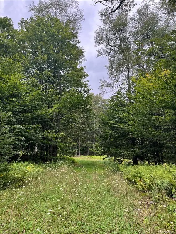 34 Black Bear XING, Claryville, NY 12725