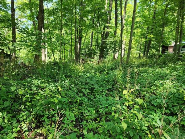 Rambler RD, Carmel, NY 10512