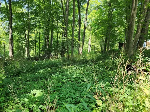 Rambler RD, Carmel, NY 10512