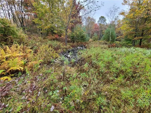 116 Voss RD, Claryville, NY 12725