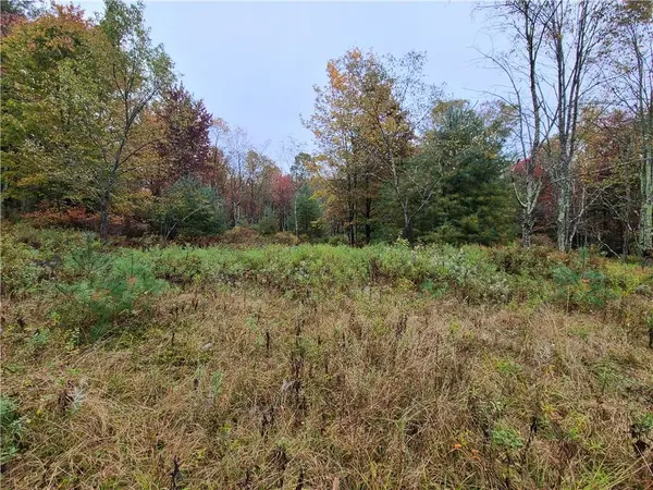 116 Voss RD, Claryville, NY 12725