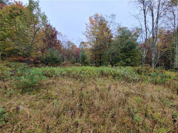 116 Voss RD, Claryville, NY 12725