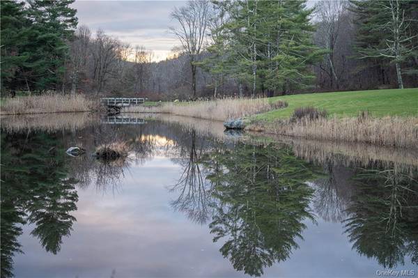 165 Duell Hollow RD, Wingdale, NY 12594