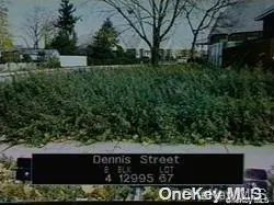 Dennis ST, Jamaica, NY 11434