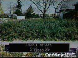Dennis ST, Jamaica, NY 11434