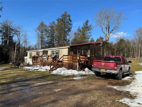 507 Tanzman RD, Liberty, NY 12768