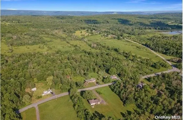 L8. 111 Churches Rd Ridges, Other, NY 12053